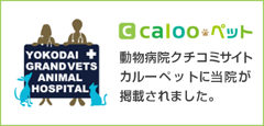 calooペット　動物病院口コミサイトカルーペットに当院が掲載されました。