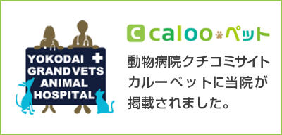 calooペット　動物病院口コミサイトカルーペットに当院が掲載されました。