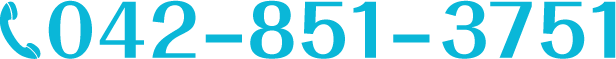 042-851-3751