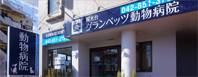 陽光台グランベッツ動物病院